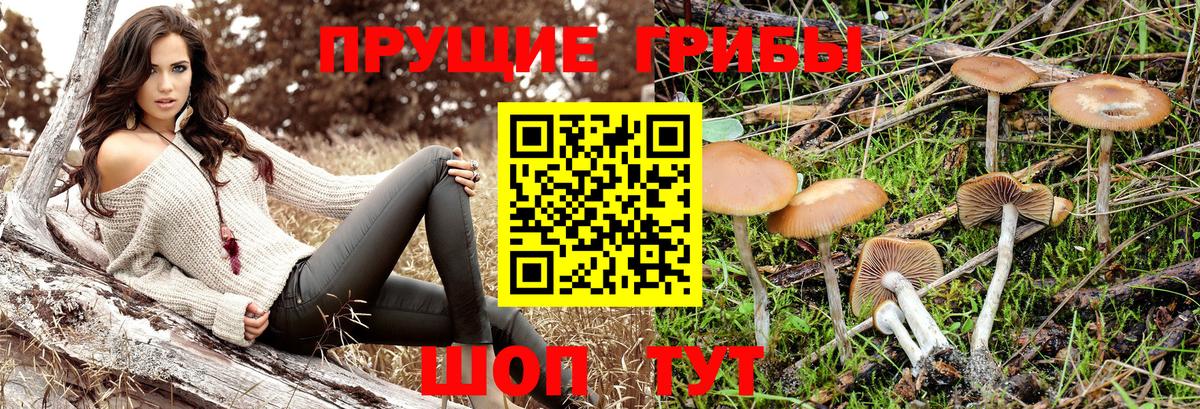 Псилоцибиновые грибы Magic Shrooms Стрежевой